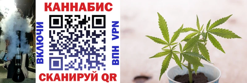 Канабис MAZAR Сочи